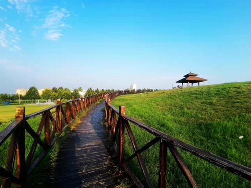 第二批山東省省級考古遺址公園名單公布，濟寧兩遺址入選助力文化遺產保護